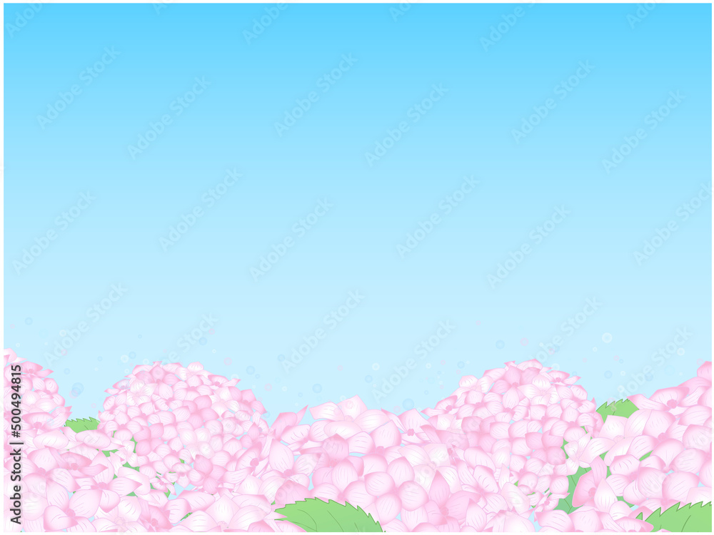 あじさいのフレーム 下部 ピンク 水色背景 Stock Vector Adobe Stock