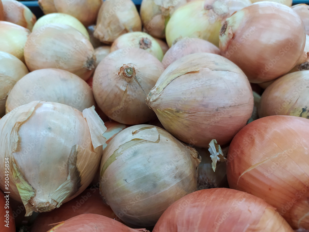 fresh onions for sale in the market fresh onions for sale in the market