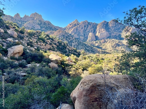 Принти на полотні Cochise Stronghold Arizona Mountain Landscape Desert Cactus Cholla Yucca