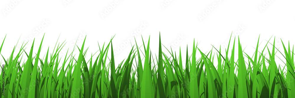 Grass profile view isolated Grass profile view isolated