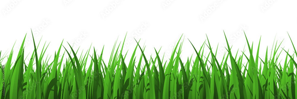 Grass profile view isolated Grass profile view isolated