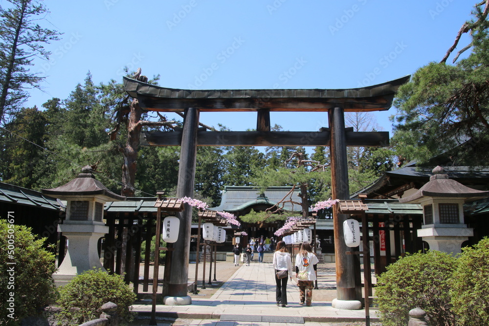 上杉神社の桜（山形県・米沢市）