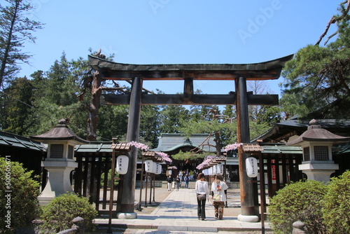 上杉神社の桜（山形県・米沢市） © tk2001