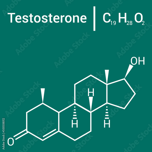 chemical structure of testosterone (C19H28O2)