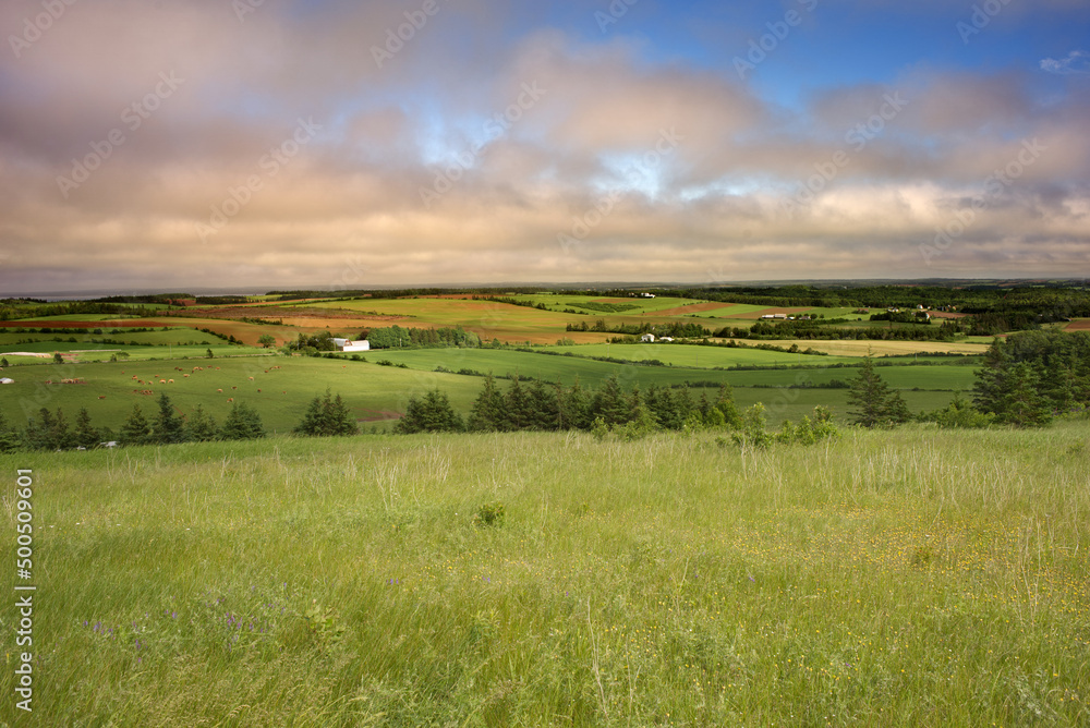 Farmland and agriculture, Long River, Prince Edward Island, Canada Farmland and agriculture, Long River, Prince Edward Island, Canada