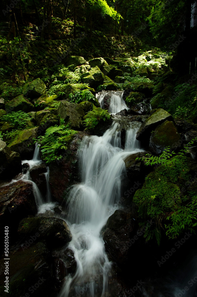 Yoro falls with fresh greenery in early summer season Yoro falls with fresh greenery in early summer season