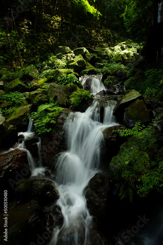 Yoro falls with fresh greenery in early summer season