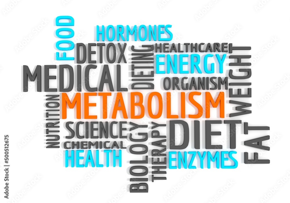 Words cloud of metabolism. Concept of human health. 3D render