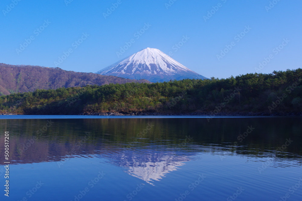 20220422西湖根場浜からの青空快晴の逆さ富士山