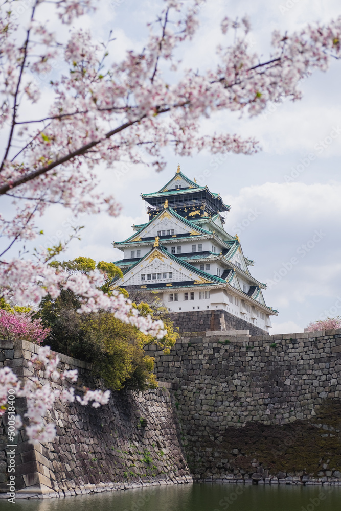 Fototapeta premium Osaka Castle framed by cherry blossom in Osaka, Japan. Spring Sakura
