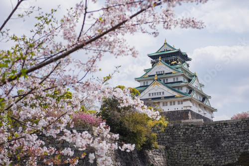 Osaka Castle framed by cherry blossom in Osaka  Japan. Spring Sakura
