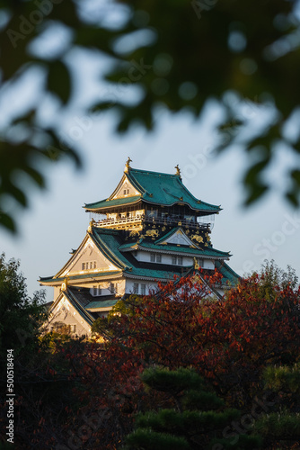 Evening view of Osaka Castle framed by trees in Osaka, Japan. 