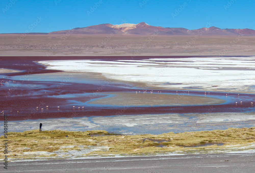 Lagura Colorada, próxima ao salar Uyuni, altiplano boliviano