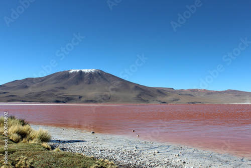 Laguna Colorada, lago próximo ao salar de Uyuni, altiplano andino, na Bolivia