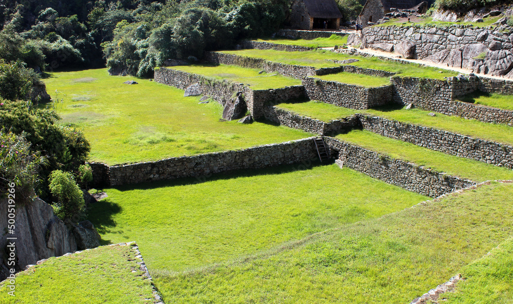 Ruinas de Machu Picchu, terraços de plantação e muros de contenção. - obrazy, fototapety, plakaty 