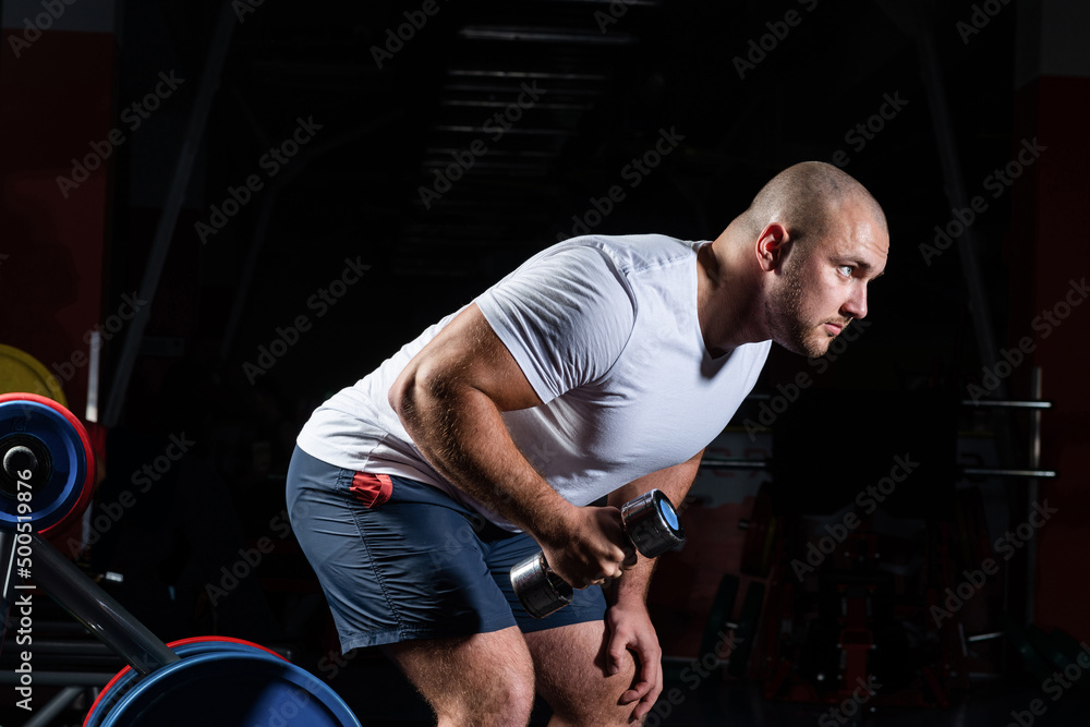 Male bodybuilder engaged with dumbbells in the gym Male bodybuilder engaged with dumbbells in the gym