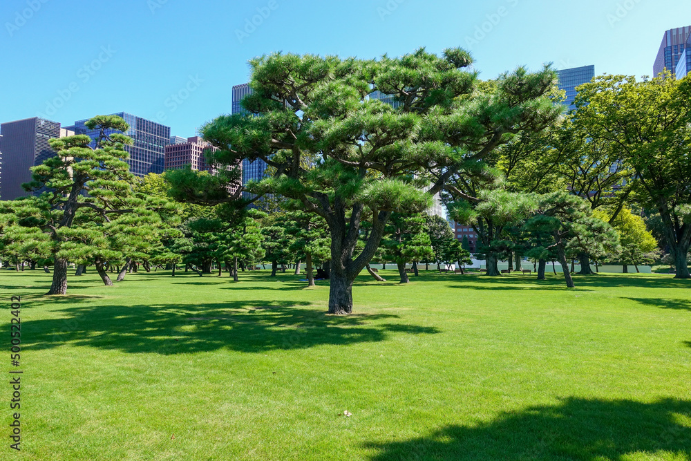 Fototapeta premium Imperial Palace Garden in Tokyo, Japan