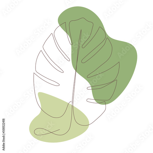 Green leaf. Monstera deliciosa. One line art.