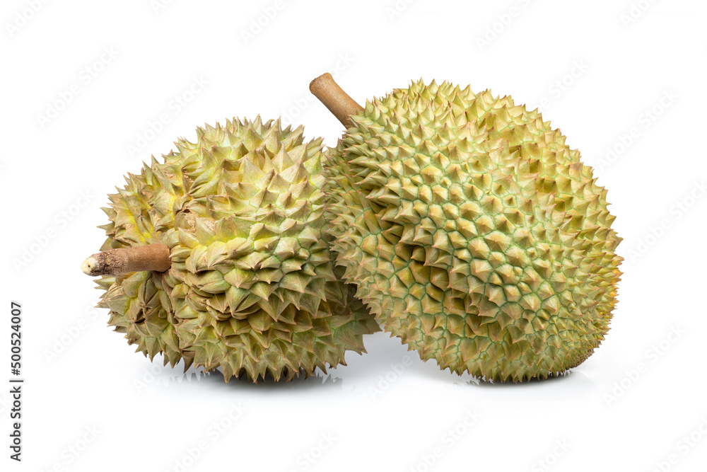 durian isolated on white background durian isolated on white background