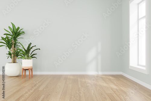 3d rendering of white empty room and wooden floor. Contemporary interior background. photo
