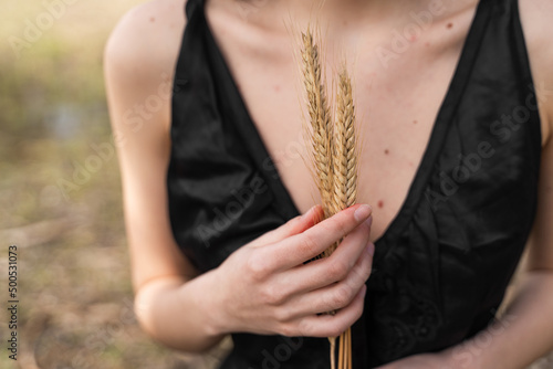 Closeup of woman's hands holds a bunch of golden ears of wheat on black dress background. Agriculture concept.