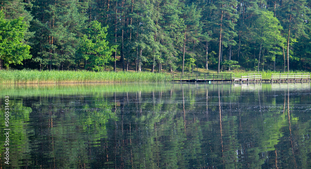 Lake in the Forest. Still lake. Summer. Peaceful Landscape Lake in the Forest. Still lake. Summer. Peaceful Landscape