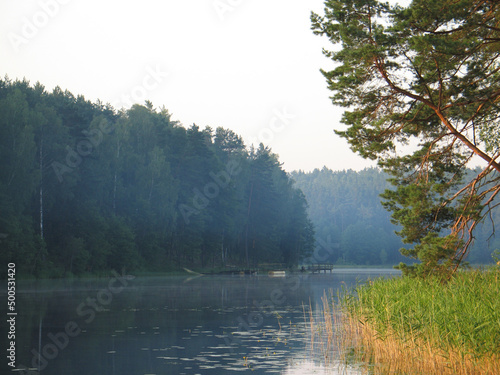 Fototapeta Naklejka Na Ścianę i Meble -  Lake in the Forest. Still lake. Summer. Peaceful Landscape