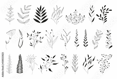Set of black silhouettes of tropical leaves on an isolated white background. Botanical tree branches, palm leaf on the stem. Spring summer leaf. Concept design logo icons. Vector illustration.