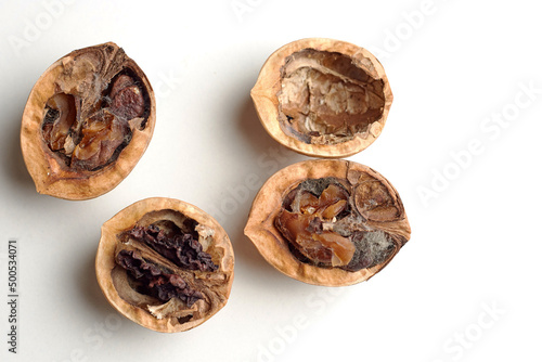 Fotografía a spoiled walnut on a white background is dangerous for health, you can not eat