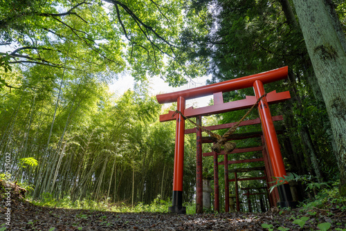 稲荷神社の鳥居