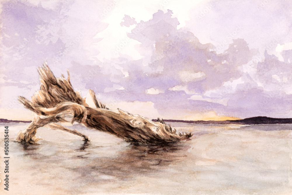 Dead tree trunk on a beach. Watercolor on paper. Dead tree trunk on a beach. Watercolor on paper.