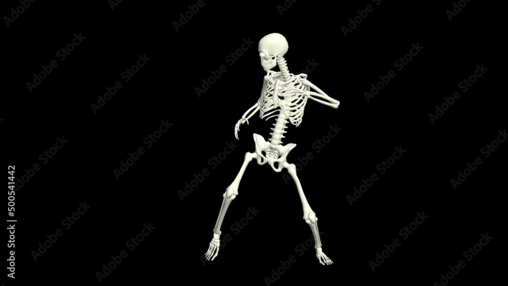 Skeleton Dancing 3D Animation.
You will get the Super Realistic 3D Animation dance of Skeleton.
Skeleton Dancing 3D Animation.
You will get the Super Realistic 3D Animation dance of Skeleton.