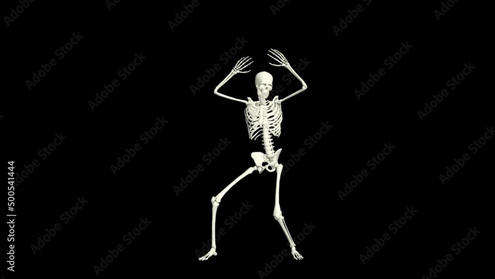 Skeleton Dancing 3D Animation.
You will get the Super Realistic 3D Animation dance of Skeleton.
Skeleton Dancing 3D Animation.
You will get the Super Realistic 3D Animation dance of Skeleton.