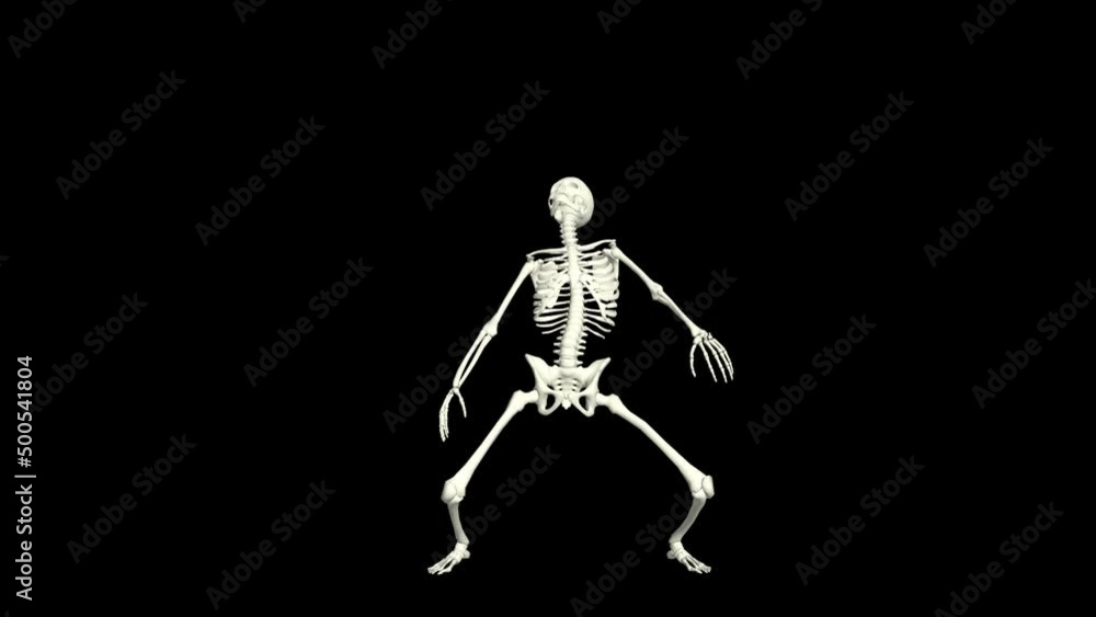 Skeleton Dancing 3D Animation.
You will get the Super Realistic 3D Animation dance of Skeleton.
