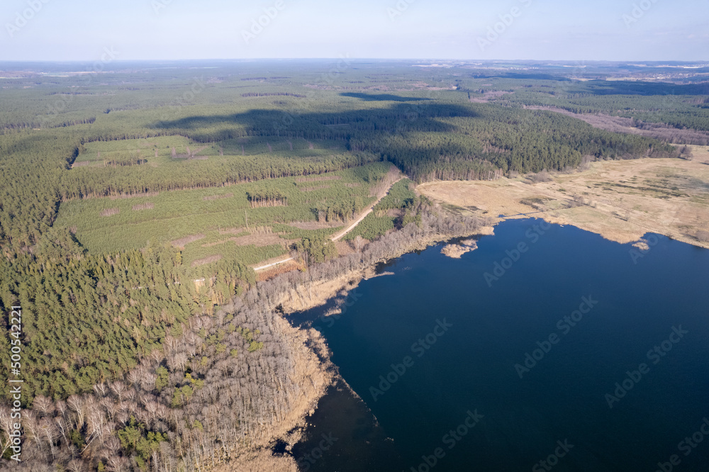 River, forest, natural environment from a bird's eye view in the morning. Low flying under trees, wildlife and nature in beautiful weather conditions.