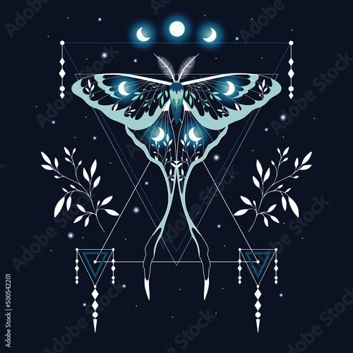 Vector illustration of moon moth. For print for T-shirts and bags, decor element. Mystical and magical, astrology illustration