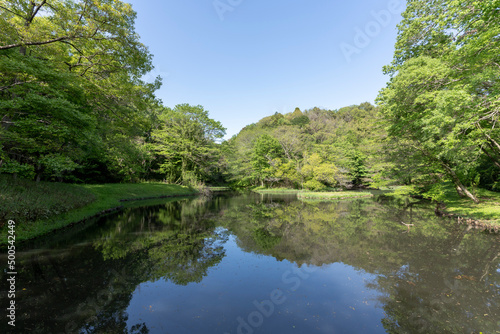谷戸にある池と新緑の風景 © EISAKU SHIRAYAMA