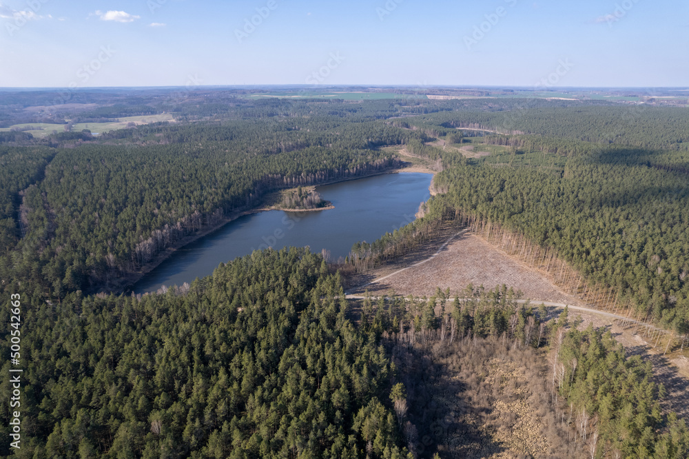 River, forest, natural environment from a bird's eye view in the morning. Low flying under trees, wildlife and nature in beautiful weather conditions.