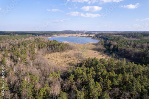 River, forest, natural environment from a bird's eye view in the morning. Low flying under trees, wildlife and nature in beautiful weather conditions.