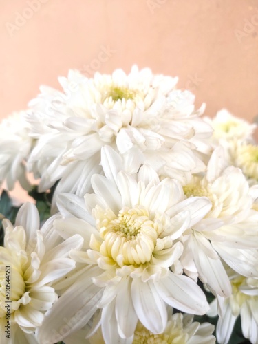 bouquet of chrysanthemums