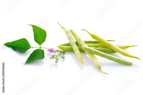 Schilderij op canvas string bean with leaves and blossom.