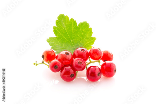 fresh juicy red currant.