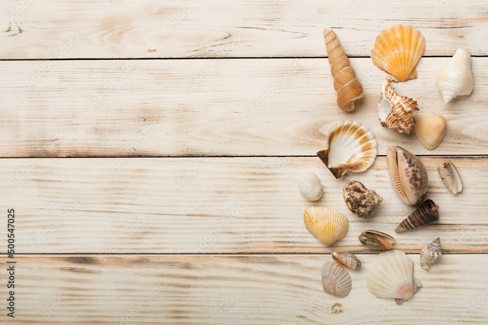Sea shells on wooden background, top view. Summer concept Sea shells on wooden background, top view. Summer concept
