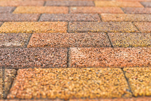 Yellow and brown street wet weathered pavement outdoor tiles, close-up. Selective focus. Texture background. Front view