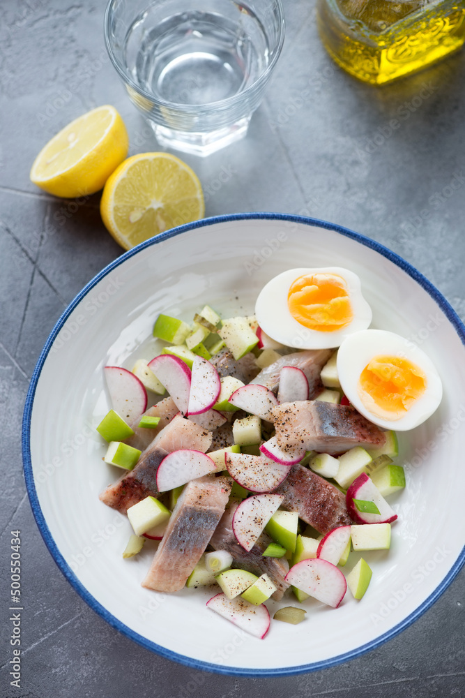 Salad with herring, apple, radish and chicken egg served in a white plate, above view on a grey concrete background, vertical shot Salad with herring, apple, radish and chicken egg served in a white plate, above view on a grey concrete background, vertical shot