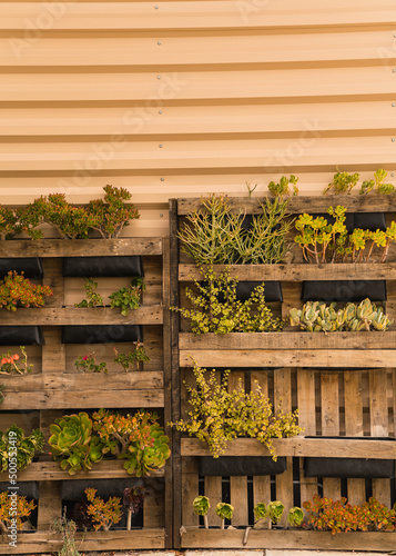 wooden crates with green plants