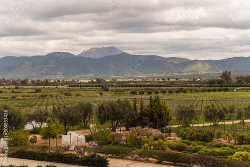 landscape in the mountains and vineyards in Mexico