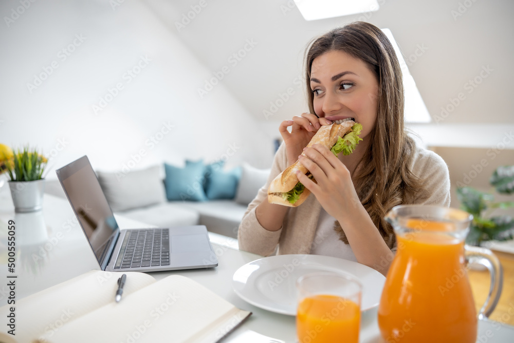Portrait of beautiful woman using laptop at home Portrait of beautiful woman using laptop at home