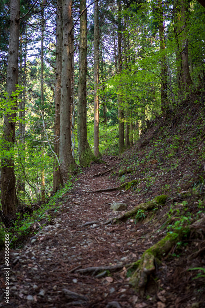 Fototapeta premium 日本の岡山県の那岐山の美しい風景