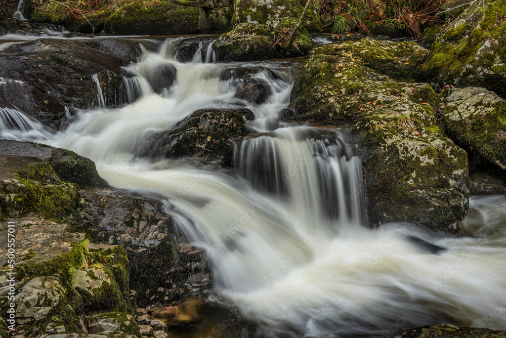 Stunning vibrant landscape image of Aira Force Upper Falls in Lake District during colorful Autumn showing Stunning vibrant landscape image of Aira Force Upper Falls in Lake District during colorful Autumn showing